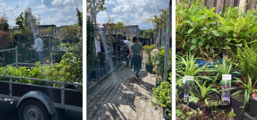 Groen doen! (met hulp van Tuincentrum Daniëls)