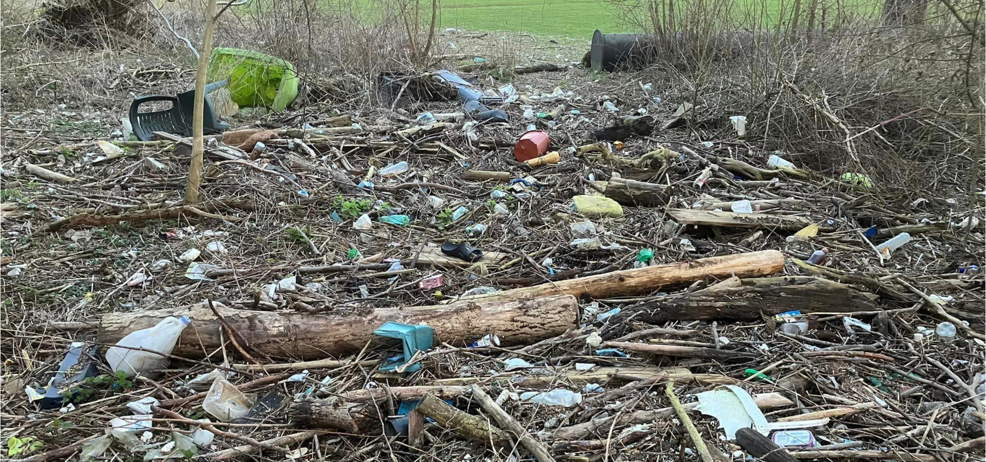 Maascleanup samen met BASF vegetable seeds business