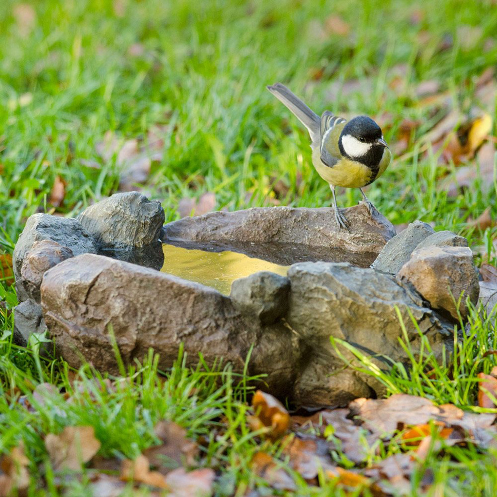 Drinkschaal Maggiore